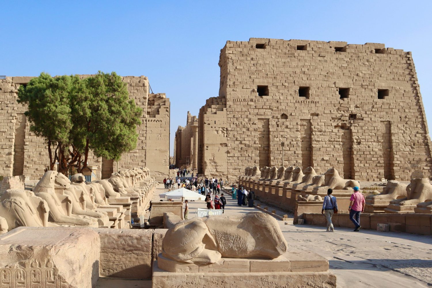 Safari por el Desierto Egipto: Explora el majestuoso Templo de Karnak en Luxor, descubriendo la historia faraónica con guía en español durante el crucero por el Nilo.