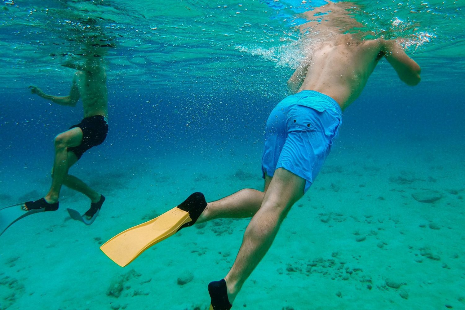 Snorkeling en el Mar Rojo por 1 día desde El Gouna – persona disfrutando bajo el agua entre corales y peces de colores.