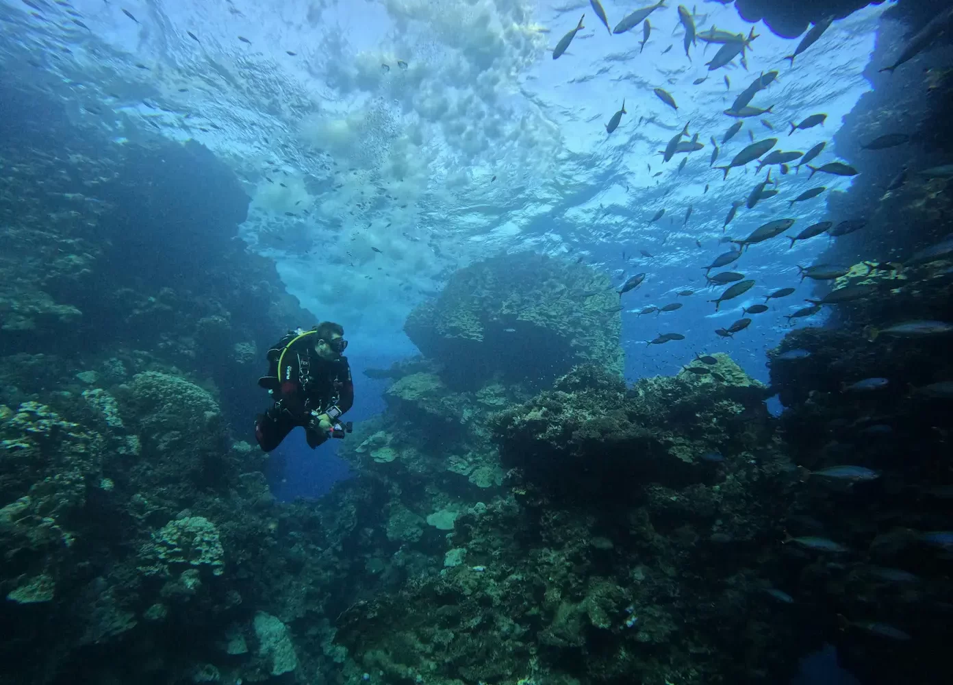 Snorkel en Hurgada nadando con delfines en el Mar Rojo
