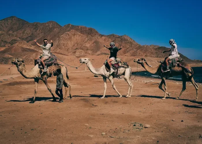 Tour a Safari en el Desierto desde Marsa Alam – Paseo en camello por el desierto