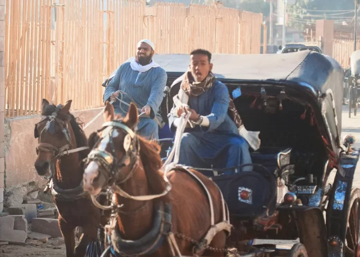Paseo en Carruaje de Caballos por Asuán: recorrido tradicional en carruaje por las calles de Asuán