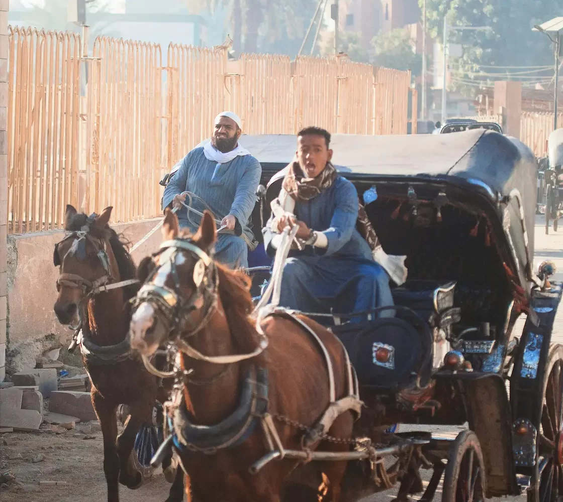 Tour en Carruaje de Caballos en Luxor: Recorrido nocturno por las calles históricas de Luxor en carruaje de caballos, mostrando la vida urbana, bazares tradicionales y la experiencia cultural auténtica.