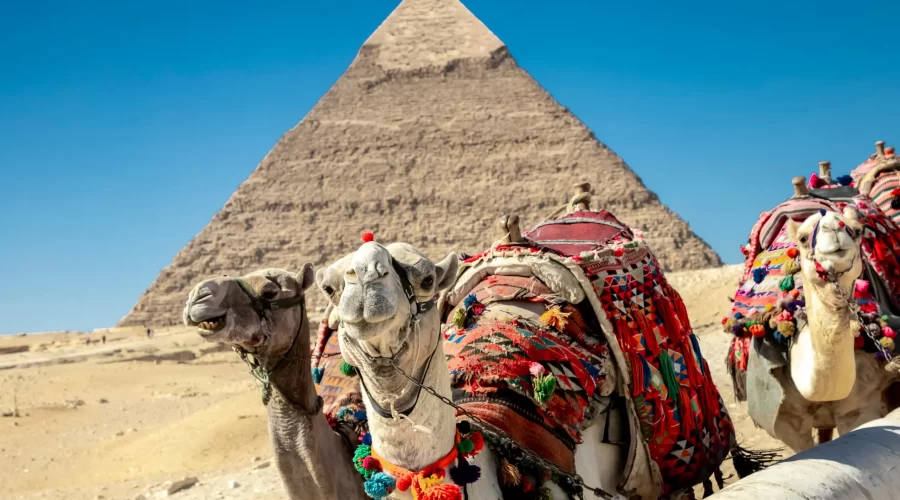 El Complejo de las Pirámides de Guiza con las tres pirámides de Keops, Kefrén y Micerinos en el desierto de Egipto