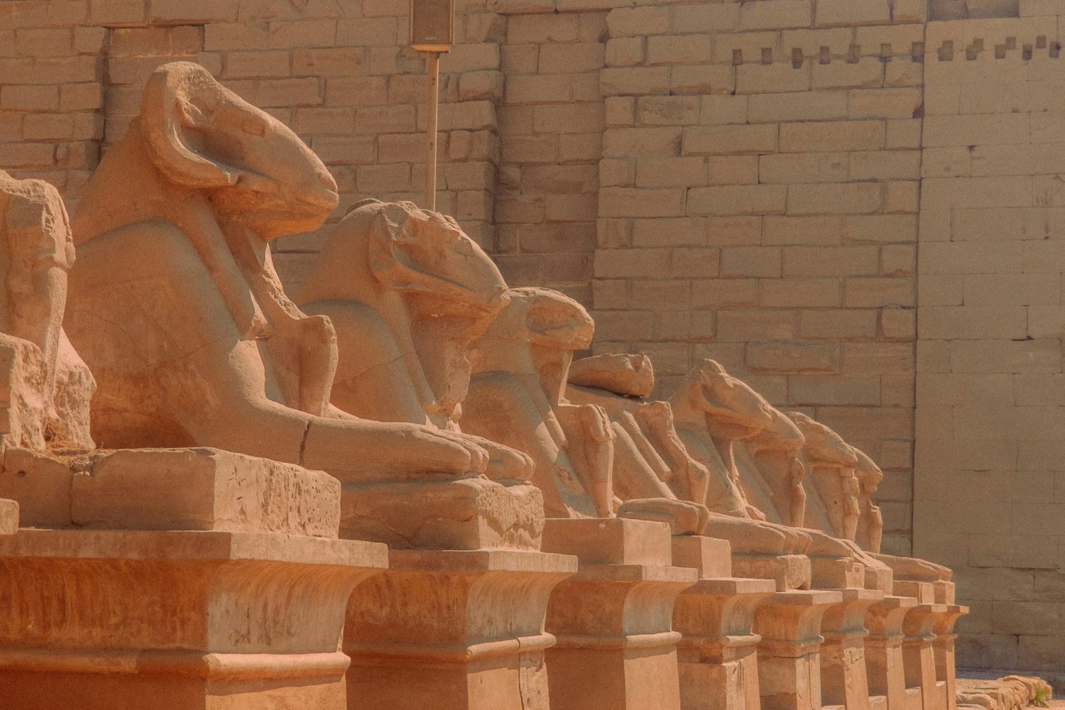 Crucero de Lujo por el Nilo Steigenberger Minerva visita el Templo de Karnak en Luxor, explorando la majestuosidad de la arquitectura faraónica y los monumentos más emblemáticos del Alto Egipto.