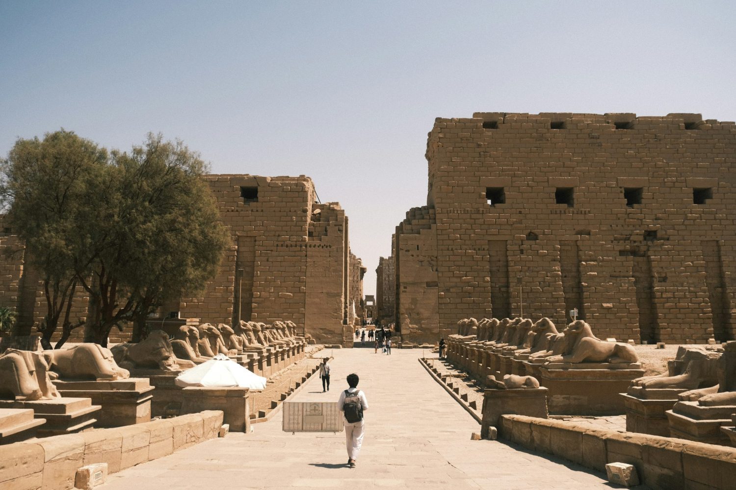 Crucero por el Nilo de 8 Días en Luxor: Camino de los Bóvidos entre Karnak y Luxor