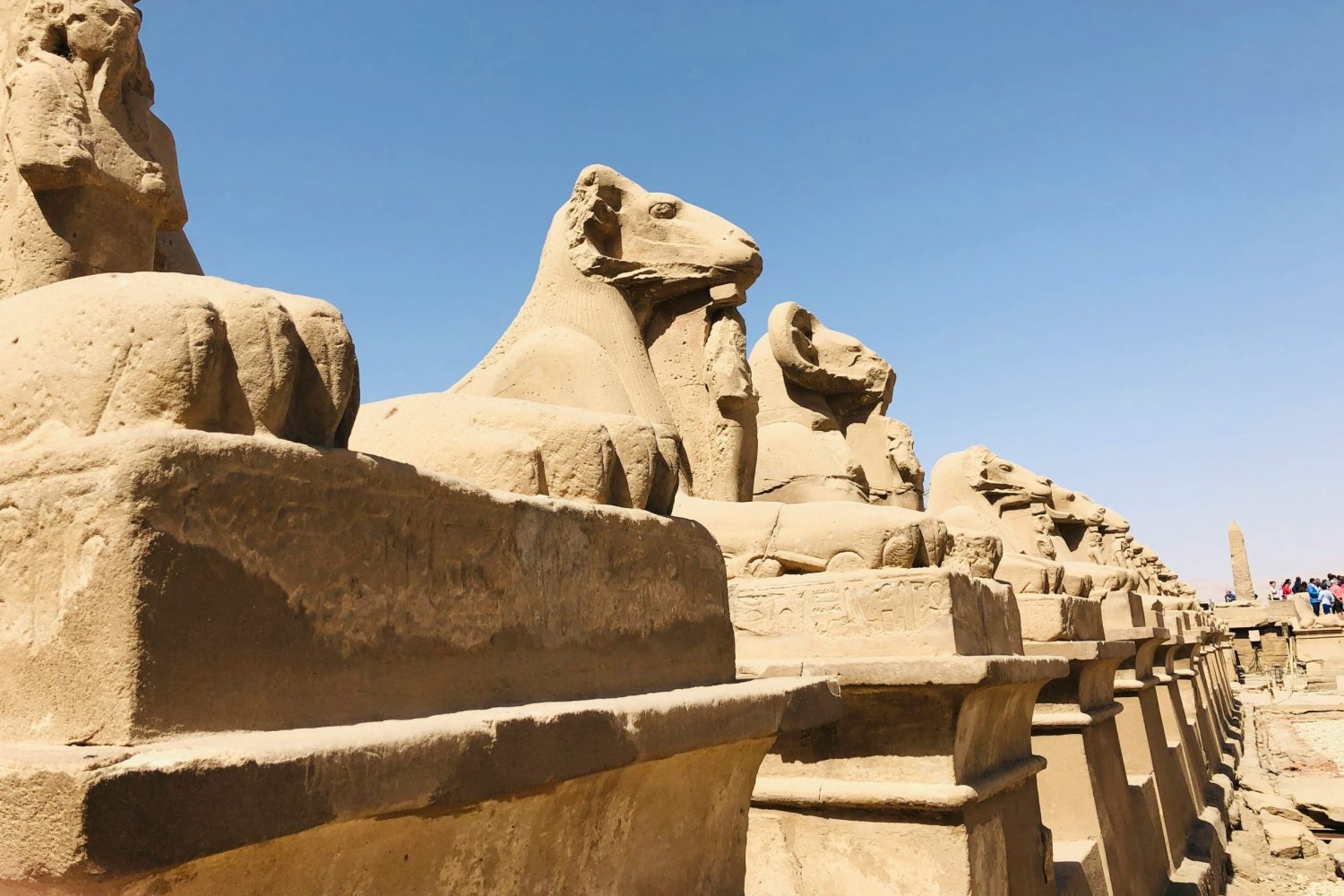 Viaje a Egipto 9 días: Valle de los Reyes en Luxor con tumbas faraónicas y relieves históricos.