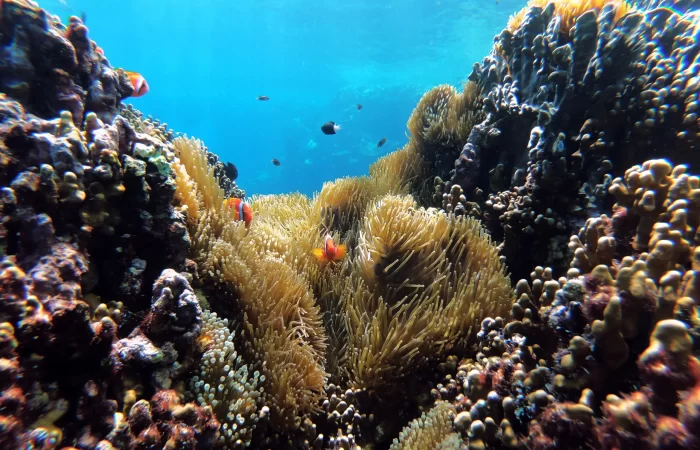 Excursiones desde y en Hurghada: tours de un día por el Mar Rojo y la cultura local
