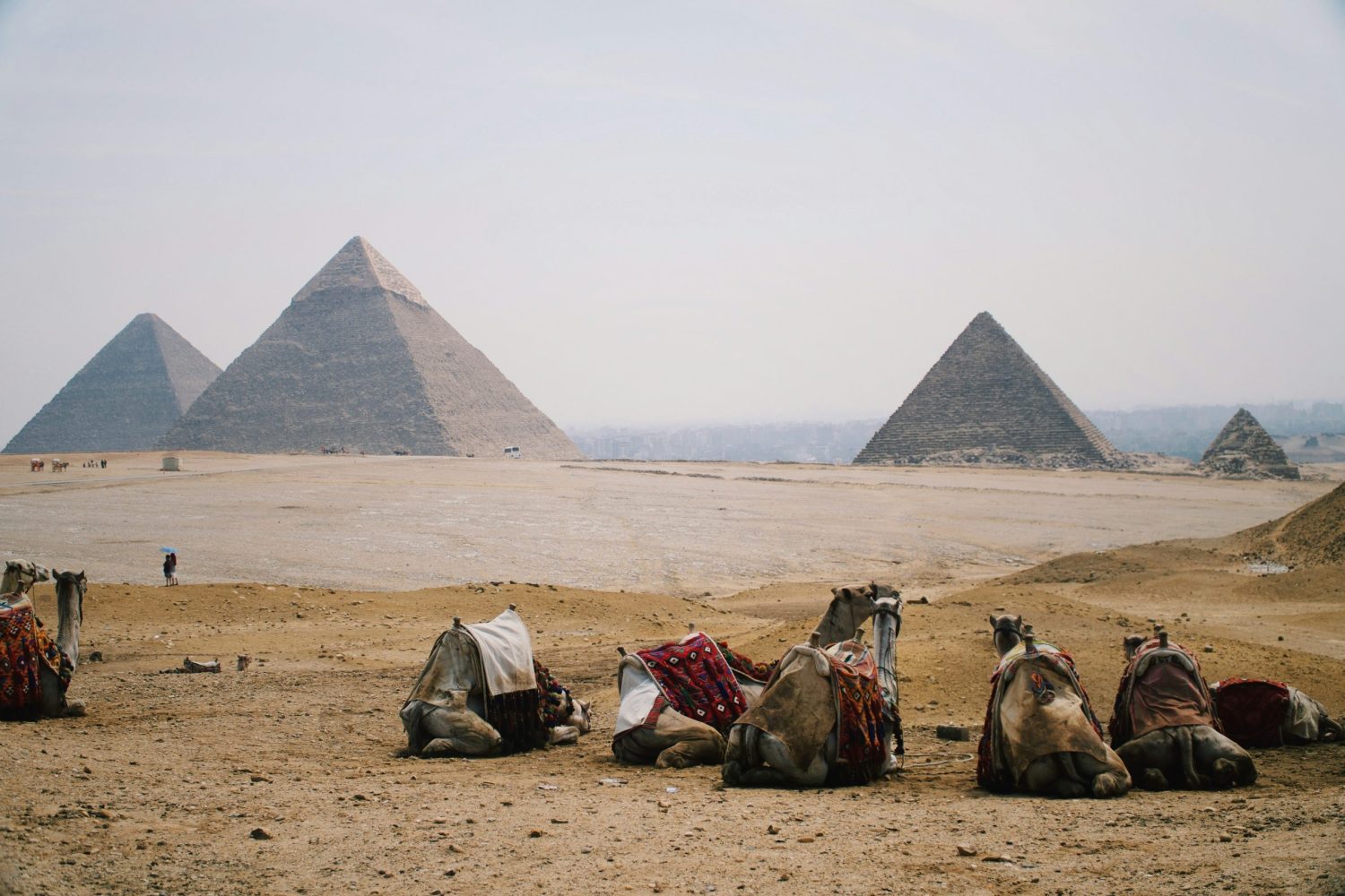 Excursión a Guiza, Saqqara y Menfis desde Makadi: Pirámide de Guiza con un camello descansando, mostrando la majestuosidad del antiguo Egipto.