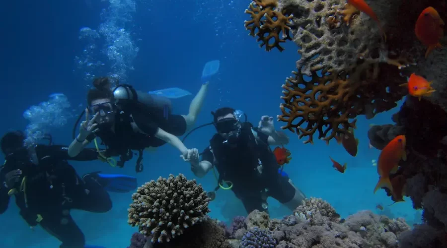 La Ciudad de Sharm El Sheij en Egipto: Persona haciendo snorkel rodeado de arrecifes de coral y peces de colores en el Mar Rojo